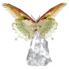 Borboleta Idyllia Borboleta Idyllia