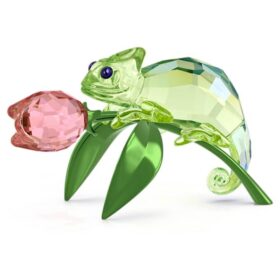Camaleão e Tulipa Idyllia