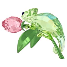 Camaleão e Tulipa Idyllia
