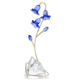 Campânula azul Florere