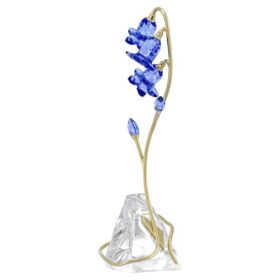 Campânula azul Florere
