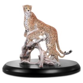 Crystal Myriad Mirembe