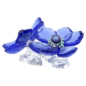 Flor Anémona Coronária da Idyllia SCS