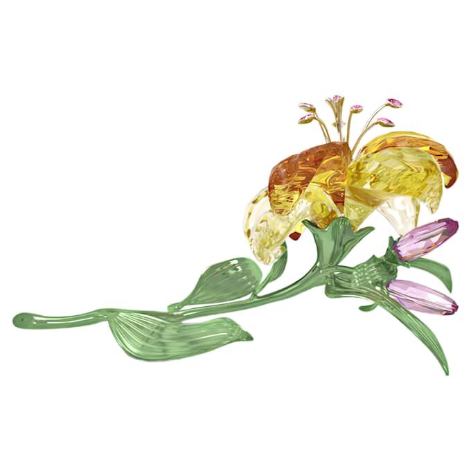 Florere Lily Grande Florere Lily Grande