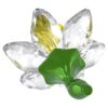 Florere Narciso Florere Narciso