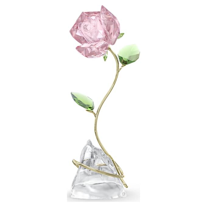 Florere Rose Florere Rose