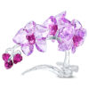 Flores de Cristal – Orquídea Flores de Cristal – Orquídea