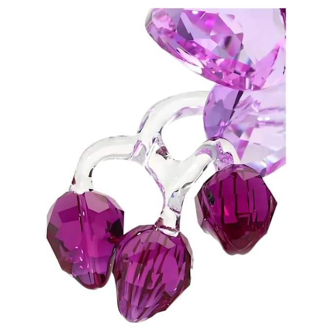 Flores de Cristal – Orquídea Flores de Cristal – Orquídea