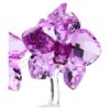 Flores de Cristal – Orquídea Flores de Cristal – Orquídea