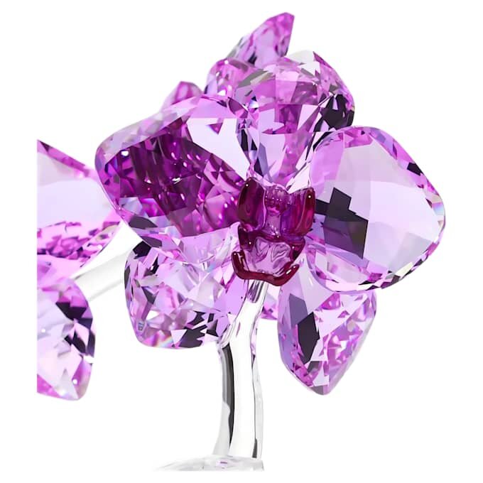 Flores de Cristal – Orquídea Flores de Cristal – Orquídea