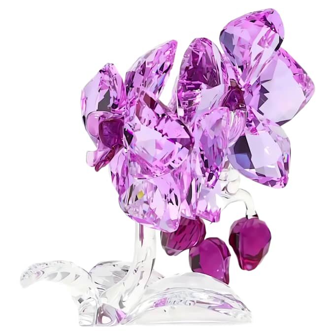 Flores de Cristal – Orquídea Flores de Cristal – Orquídea