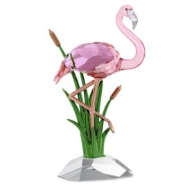 Idyllia Flamingo