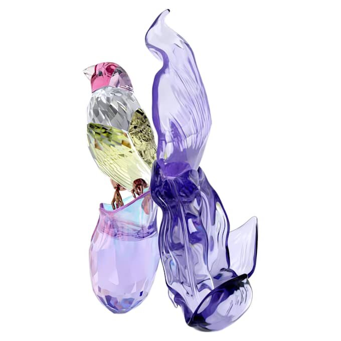 Idyllia: Pintassilgo-de-Gould e Orquídea Idyllia: Pintassilgo-de-Gould e Orquídea