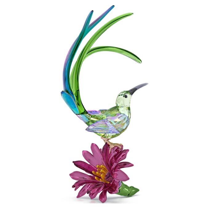 Idyllia: Pássaro-açucareiro e Flor de Cacto Idyllia: Pássaro-açucareiro e Flor de Cacto