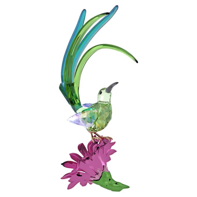 Idyllia: Pássaro-açucareiro e Flor de Cacto Idyllia: Pássaro-açucareiro e Flor de Cacto