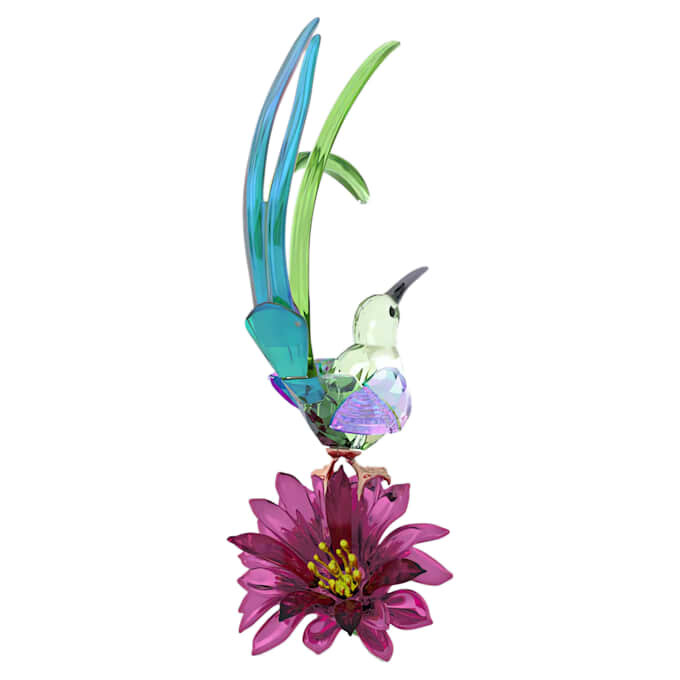 Idyllia: Pássaro-açucareiro e Flor de Cacto Idyllia: Pássaro-açucareiro e Flor de Cacto