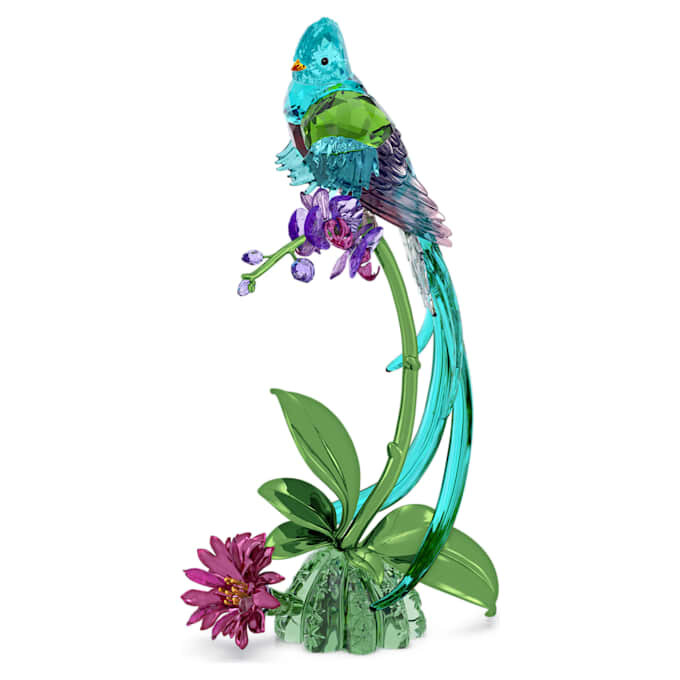 Idyllia Quetzal e Orquídea Idyllia Quetzal e Orquídea