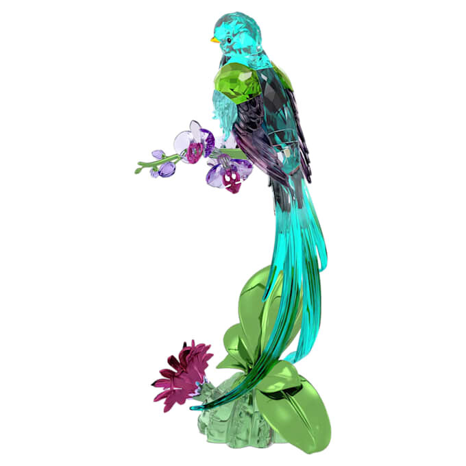 Idyllia Quetzal e Orquídea Idyllia Quetzal e Orquídea