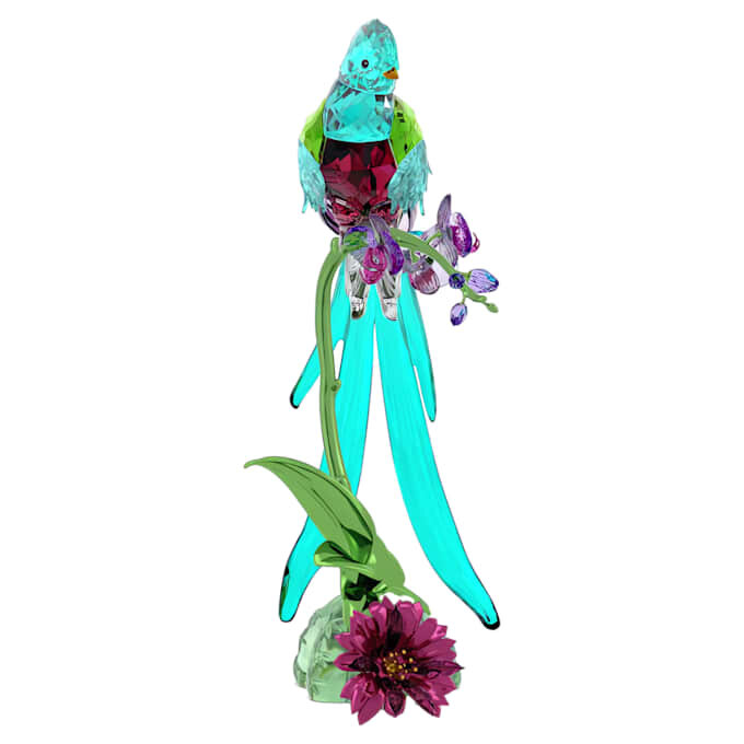 Idyllia Quetzal e Orquídea Idyllia Quetzal e Orquídea