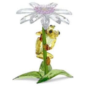 Idyllia: Rãs e Flor