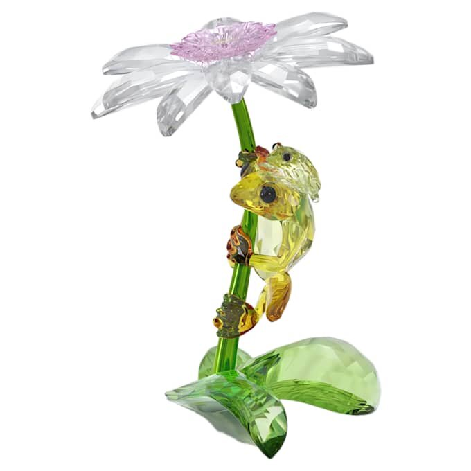 Idyllia: Rãs e Flor Idyllia: Rãs e Flor