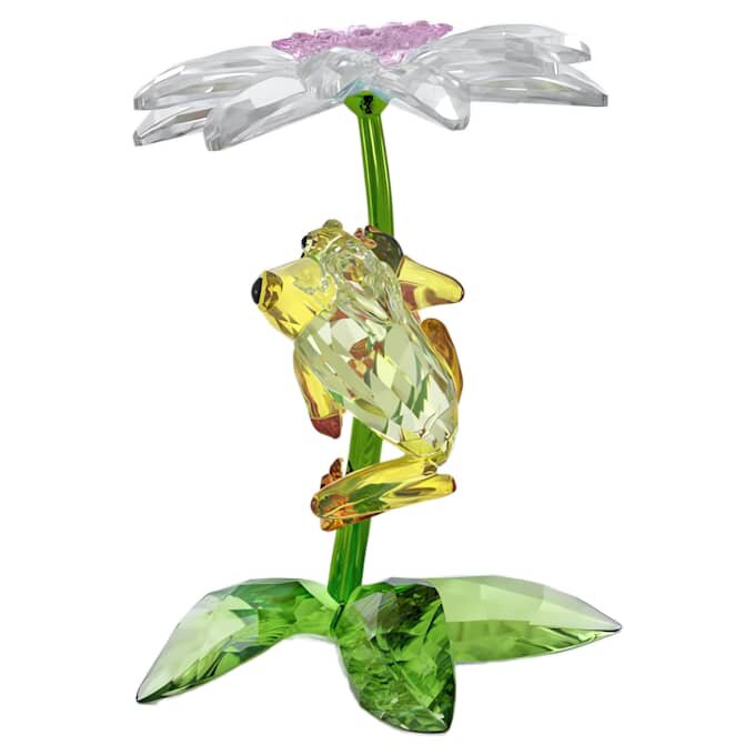 Idyllia: Rãs e Flor Idyllia: Rãs e Flor