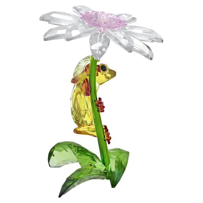 Idyllia: Rãs e Flor Idyllia: Rãs e Flor