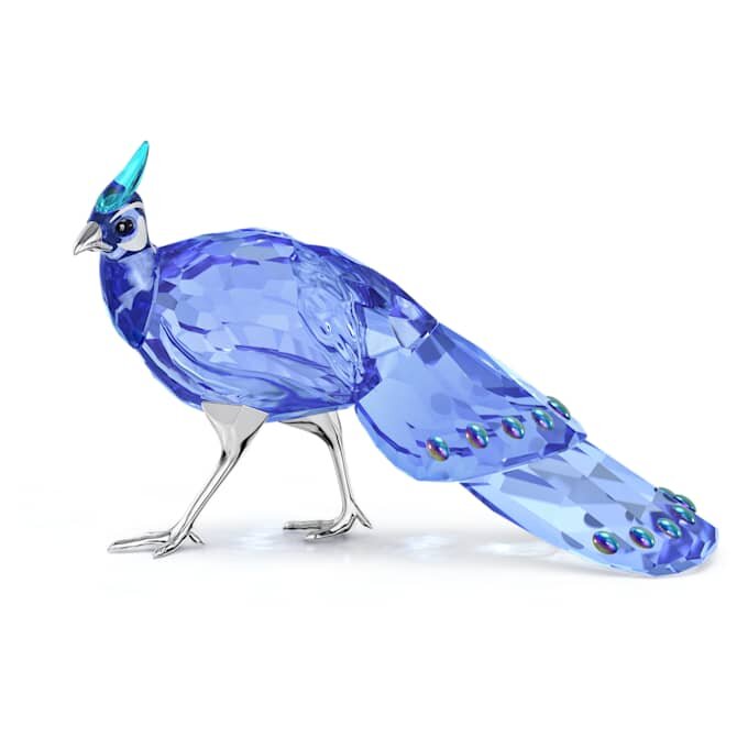 Idyllia SCS Palawan Pavão-Faisão Idyllia SCS Palawan Pavão-Faisão