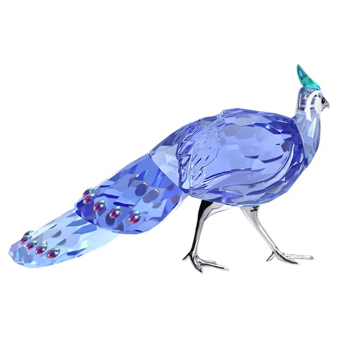 Idyllia SCS Palawan Pavão-Faisão Idyllia SCS Palawan Pavão-Faisão
