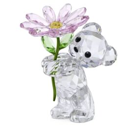 Kris Bear: Uma margarida para ti