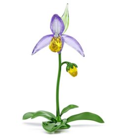 Orquídea Florere Lady Slipper