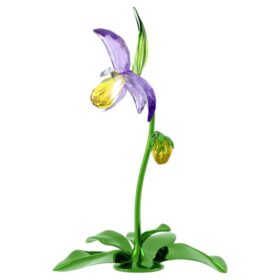 Orquídea Florere Lady Slipper