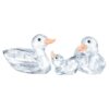 Patos Patos