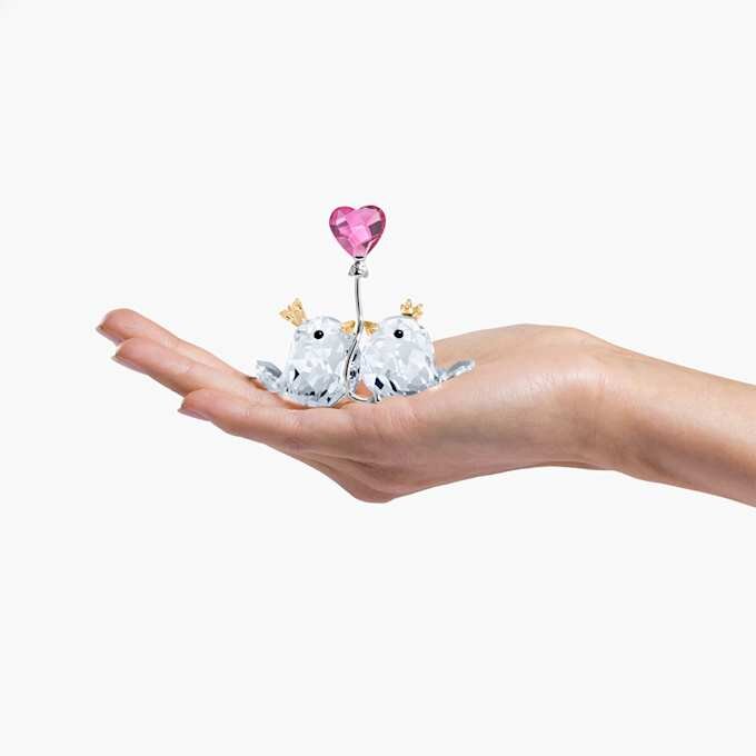 Pássaros Apaixonados com Coração Rosa Pássaros Apaixonados com Coração Rosa