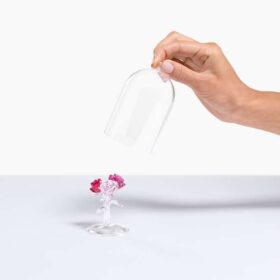 Ramos de Rosas