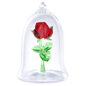 Rosa Encantada