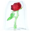 Rosa Encantada Rosa Encantada